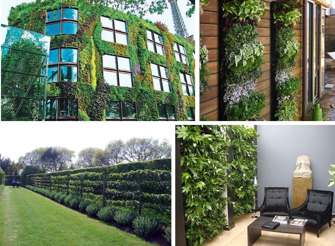 Дизайн участка – 20 интересных вариантов вертикального озеленения
