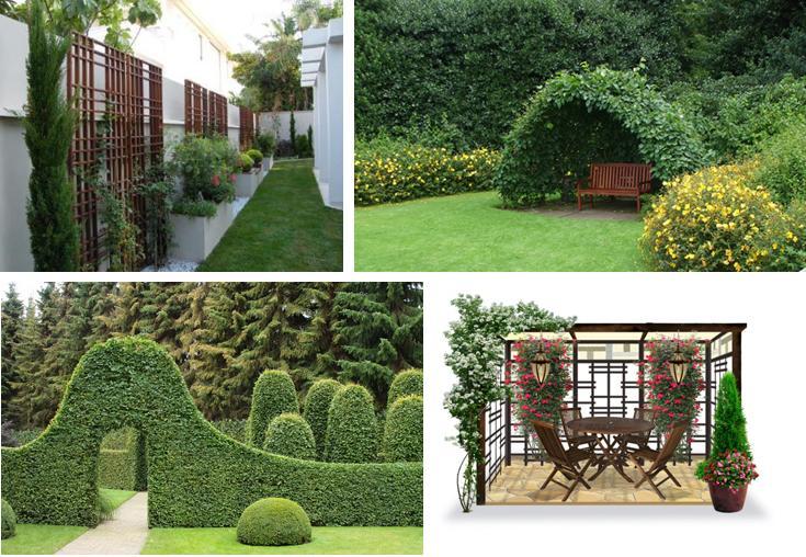 Садовые арки: расположение в саду, оформление, виды садовых арок